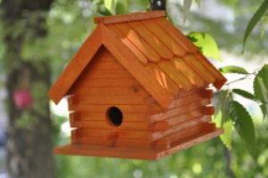 MenuNido L’asilo nido “la casa arancione” funziona dal lunedì al venerdì dalle 7,30 alle 16,30 dalla prima settimana di Settembre fino al 31 luglio, mentre per il mese di Agosto il servizio è offerto su richiesta delle famiglie. Strutturalmente l’asilo comprende una sezione di nido mista che accoglie bambini di età compresa tra i 12 e i 36 mesi. Con i bimbi si lavora congiuntamente per tutta la giornata ad esclusione del momento dei laboratori in cui i bimbi vengono divisi in due sottogruppi omogenei per età.