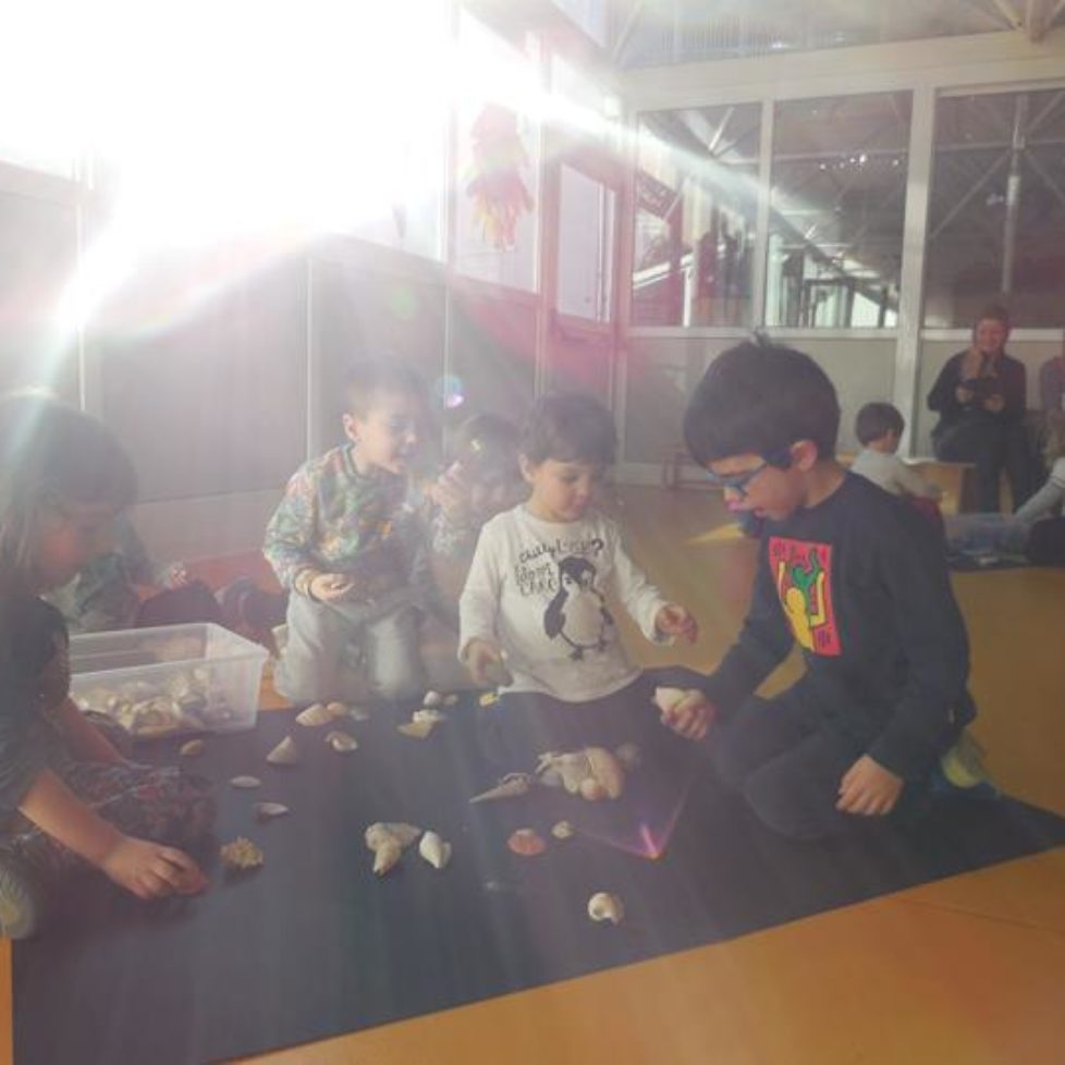 DSCN6291 DSCN6291
