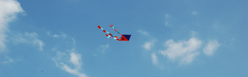 Slider1Nido 1